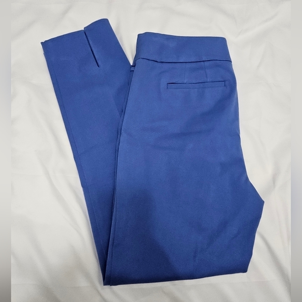 Talbots Blue Chatham Ankle Pants With Side Zip!